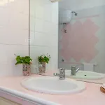 Conchiglia Rosa * Barrabisa