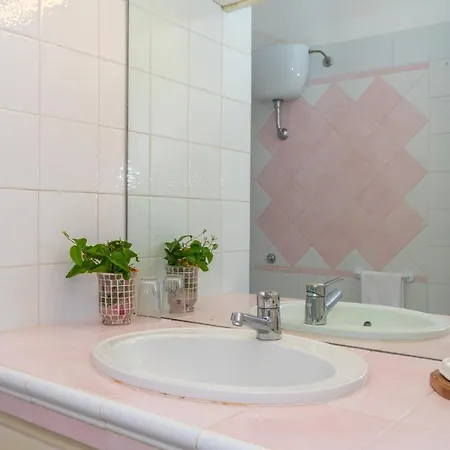 Conchiglia Rosa Barrabisa